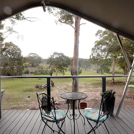 Wallabies Rest Ben Bullen Exterior photo